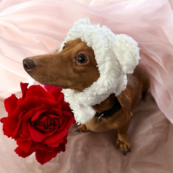 NEW Adorable Pet Hat - Picture 2 of 4